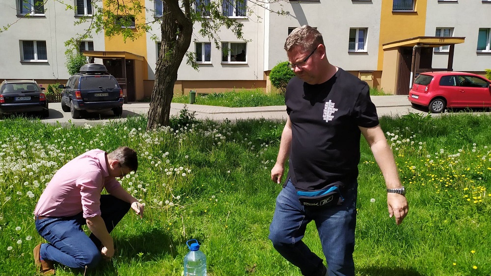 światowy dzień siania dyni w miejscach publicznych wodzisław śląski