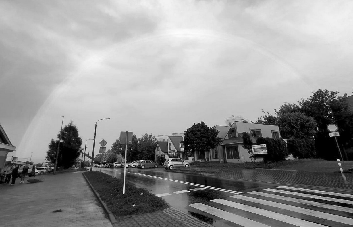 quo vadis wodzisław śląski