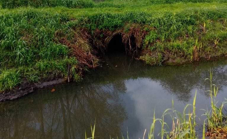 stan leśnicy wodzisław śląski