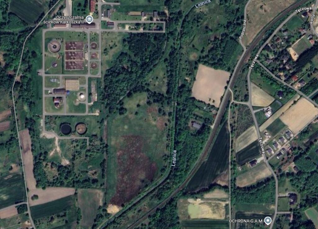 wyniki badań leśnicy wodzisław