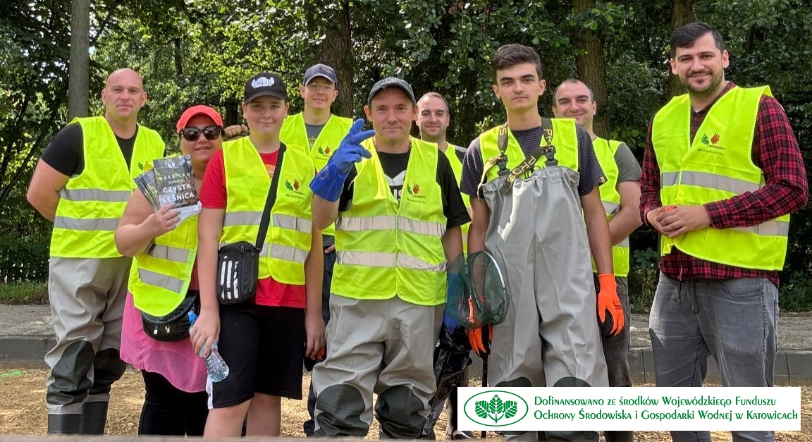 sprzątanie leśnicy wodzisław śląski