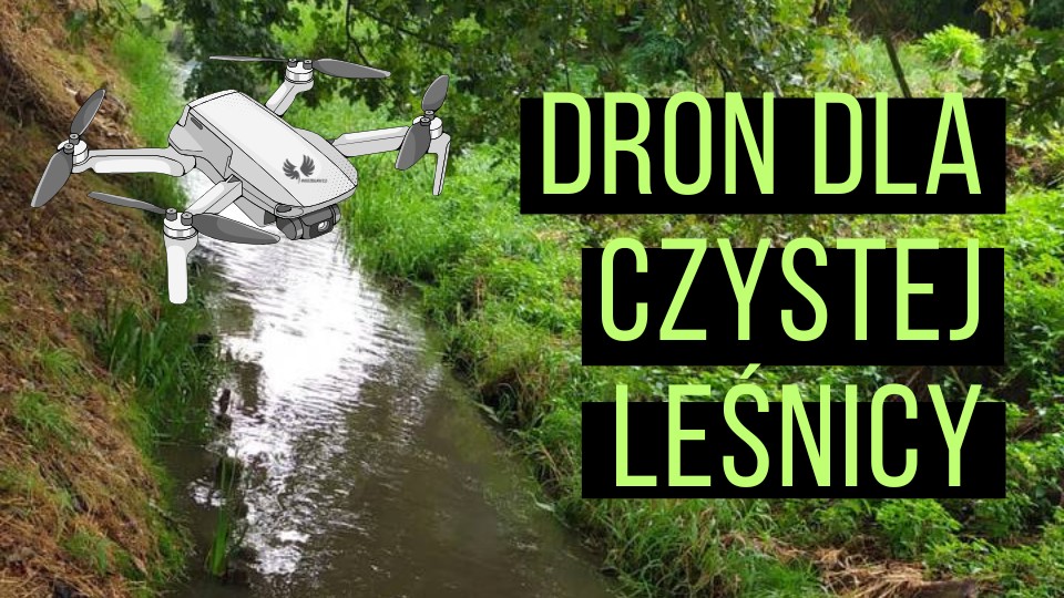 dron czysta leśnica