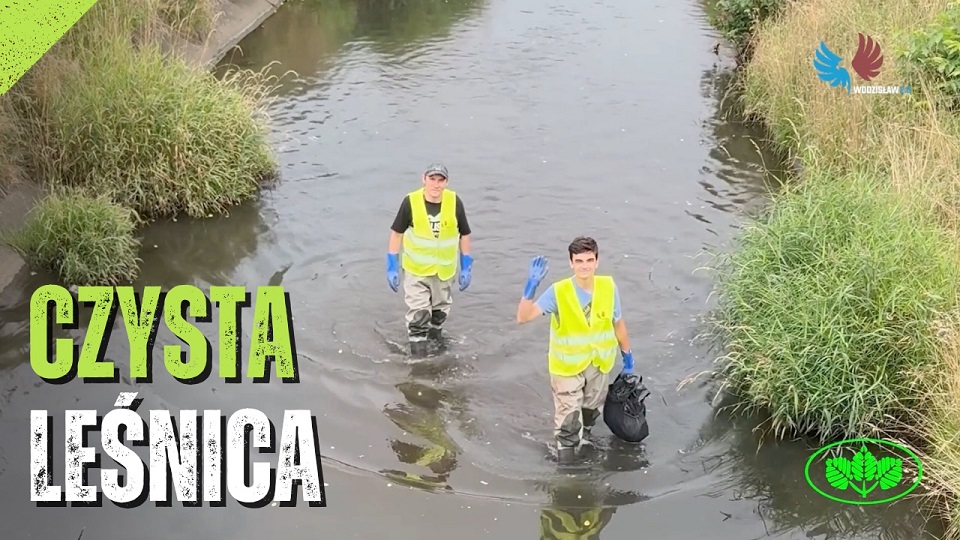 czysta leśnica film edukacyjny