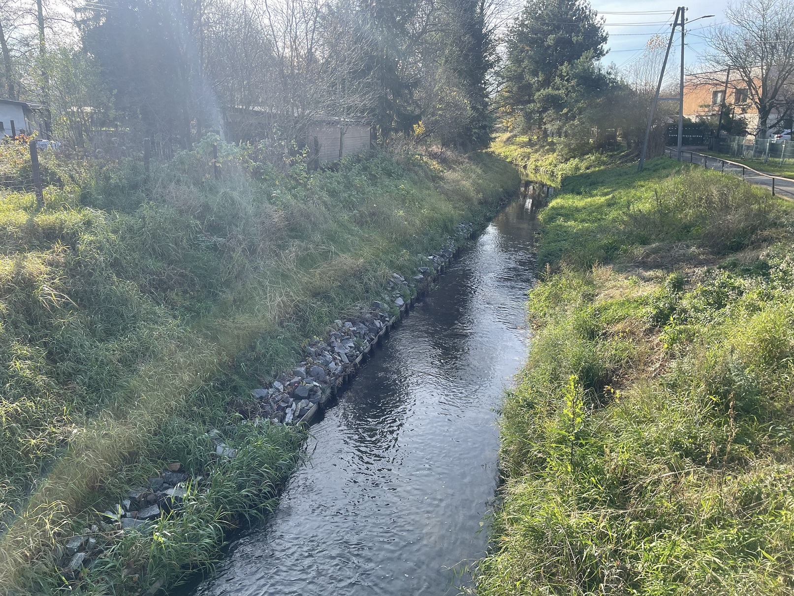 Starowiejska Wodzisław Leśnica