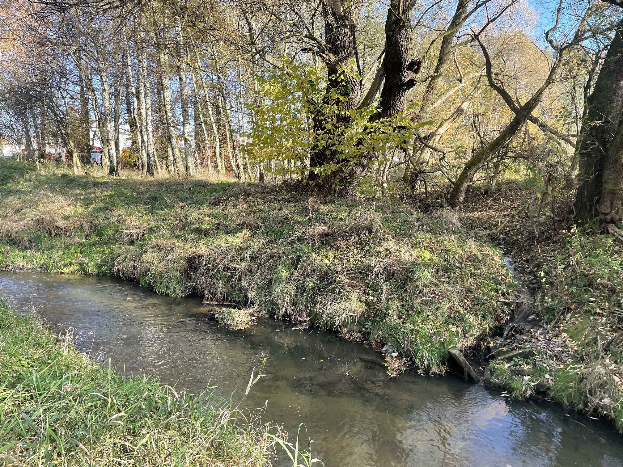 starowiejska wodzisław leśnica2