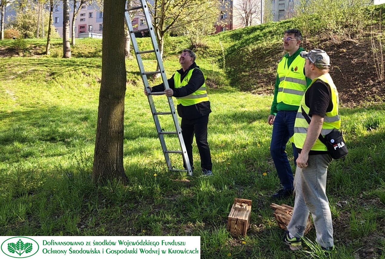 wieszanie-budek-legowych-wodzislaw