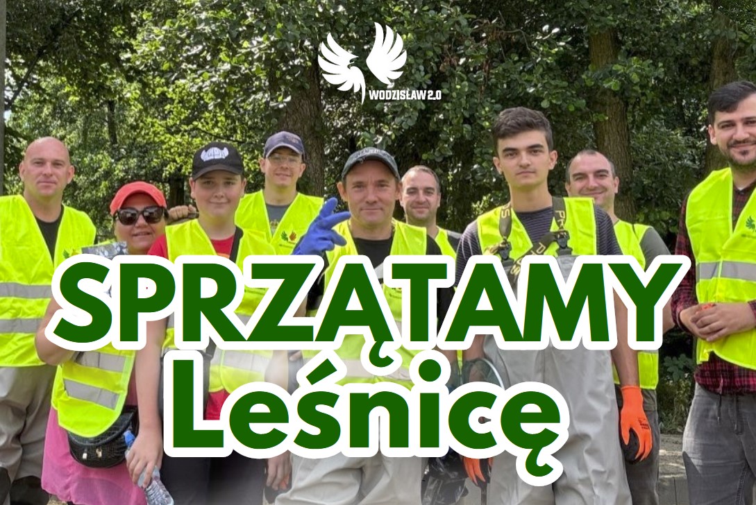 sprzatanie lesnicy wodzislaw 2026